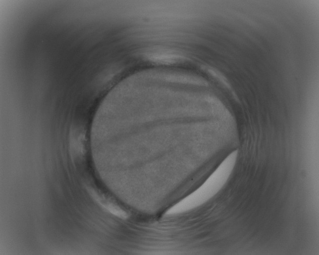 X0000081310596200702082112