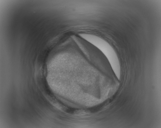 X0000081310597200702082112