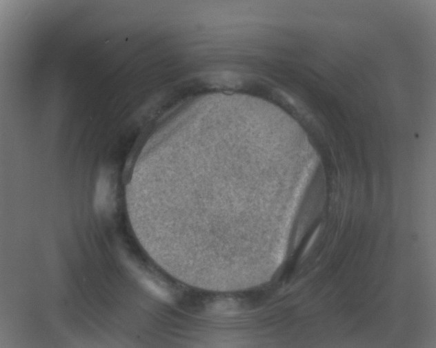 X0000081310600200702082112