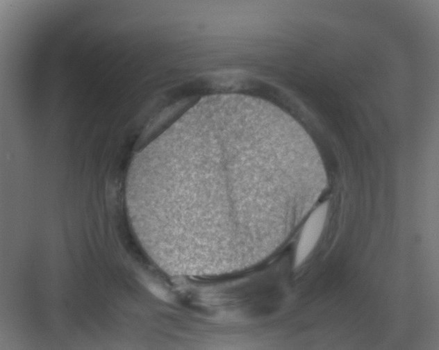 X0000081310601200702082112