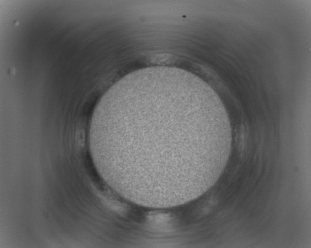 X0000081310602200702082112