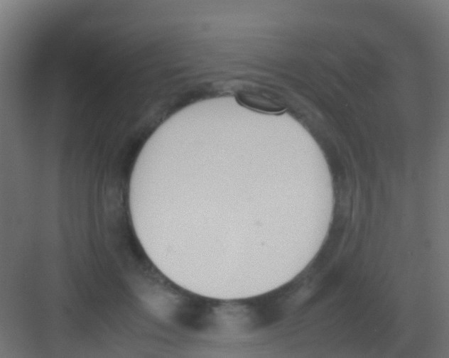 X0000081310603200702082112