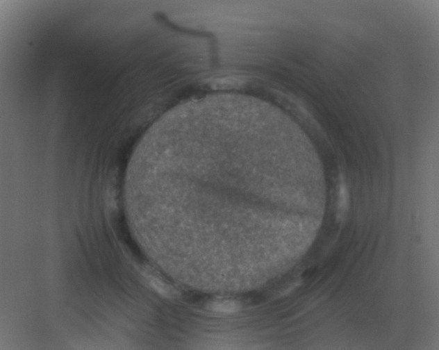 X0000081310604200702082112