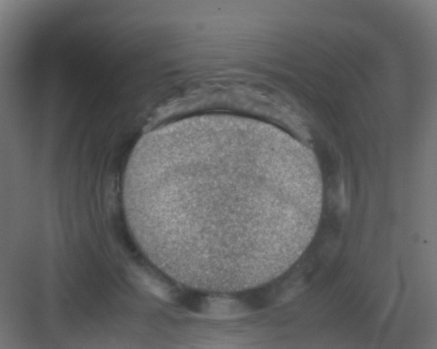 X0000081310605200702082112