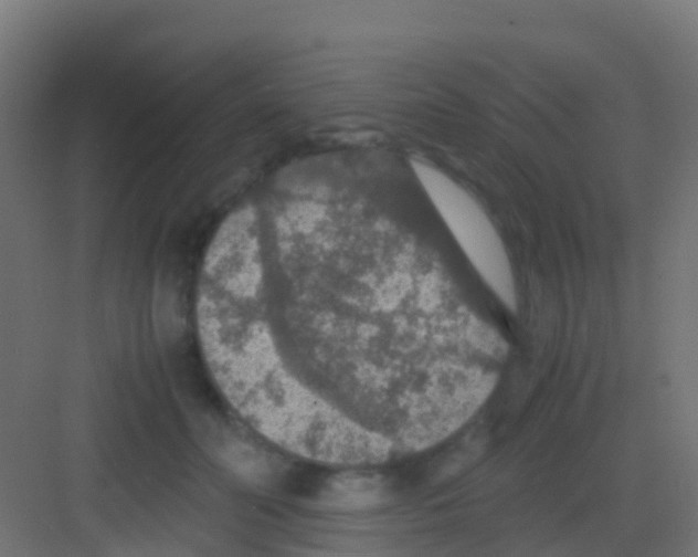 X0000081310606200702082112