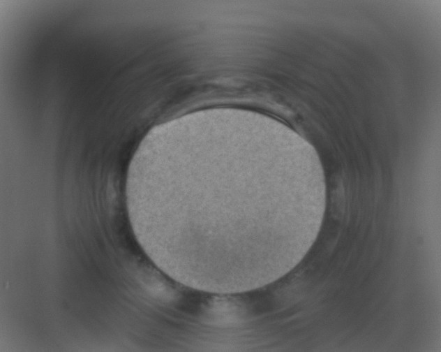 X0000081310608200702082112