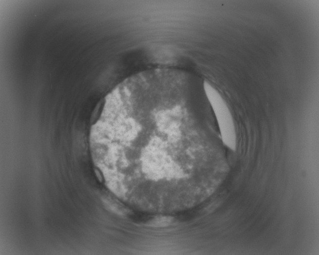 X0000081310609200702082112