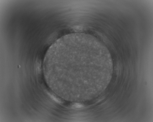 X0000081310610200702082112