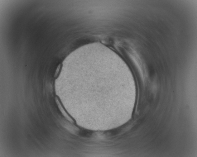 X0000081310613200702082112