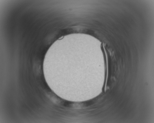 X0000081310615200702082112