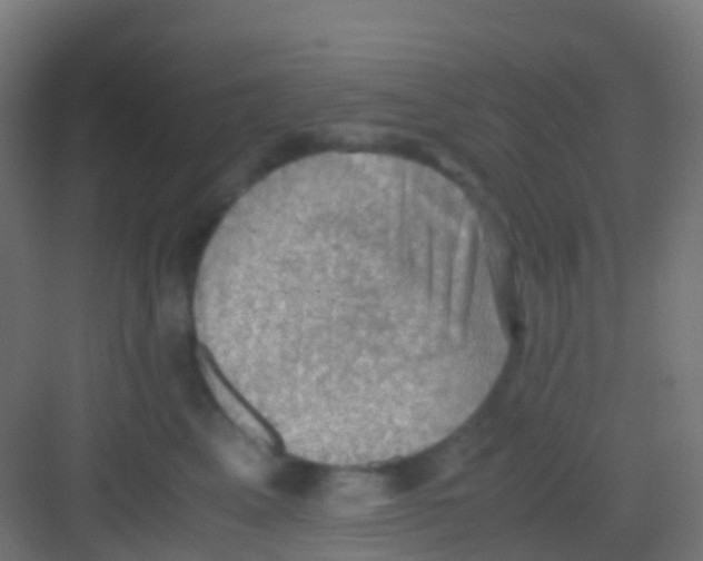 X0000081310617200702082112