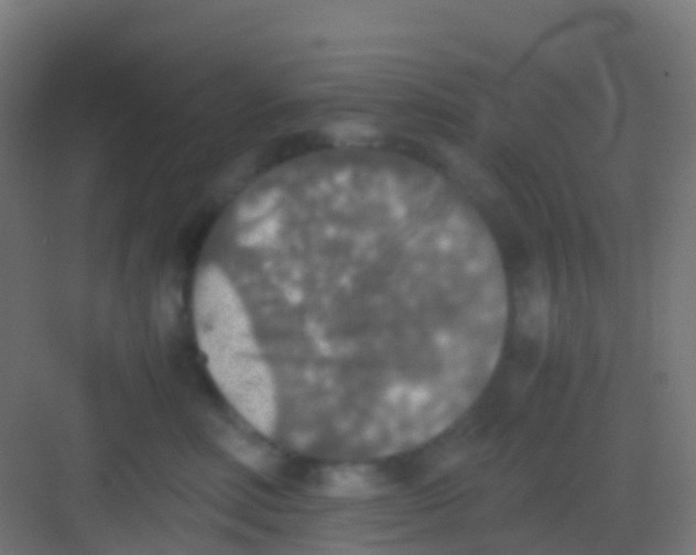 X0000081310618200702082112