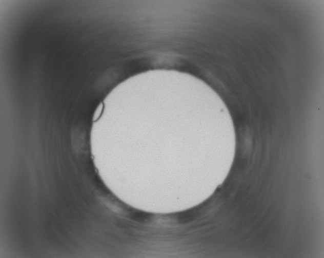 X0000081310619200702082112