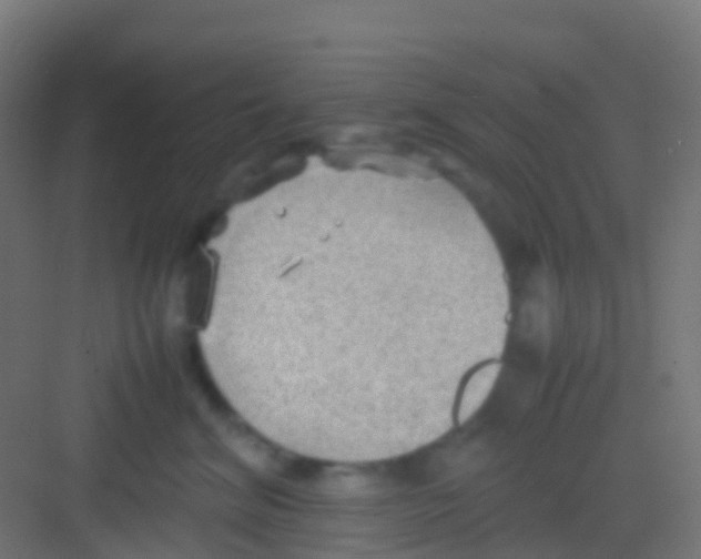 X0000081310620200702082112