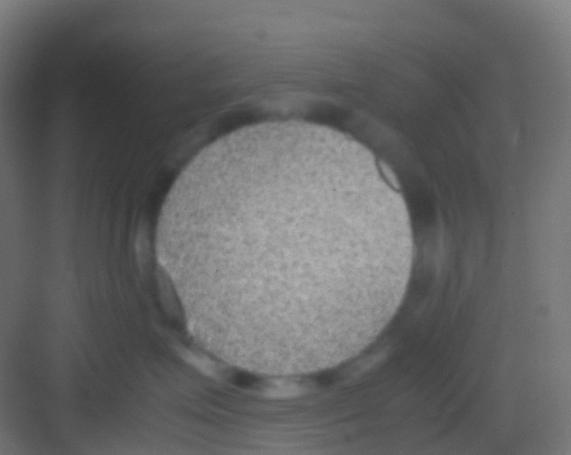 X0000081310623200702082112