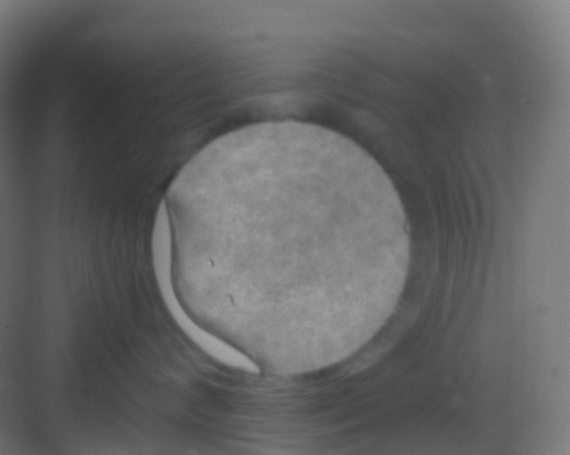 X0000081310624200702082112