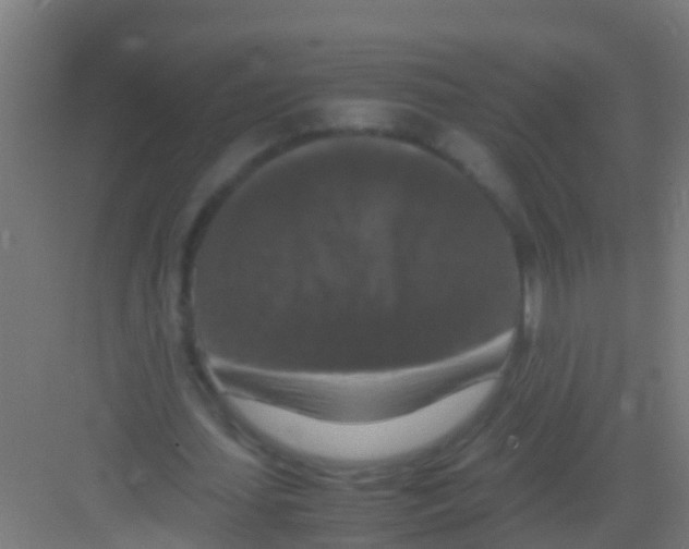 X0000081310627200702082111