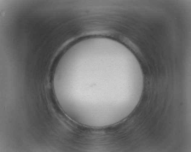 X0000081310628200702082111