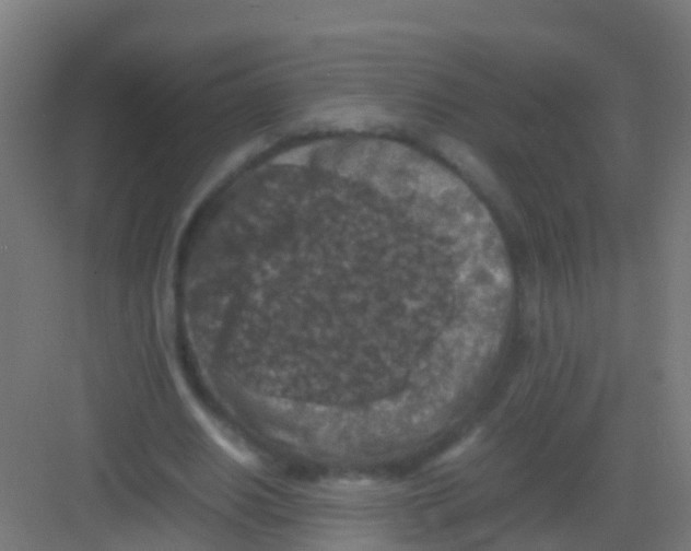 X0000081310630200702082111