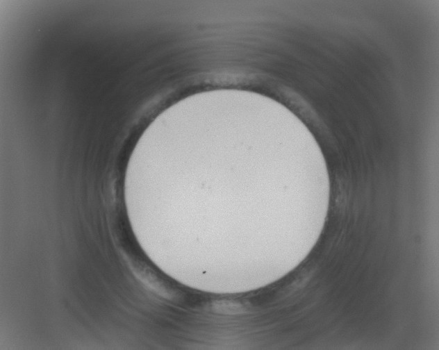 X0000081310636200702082111