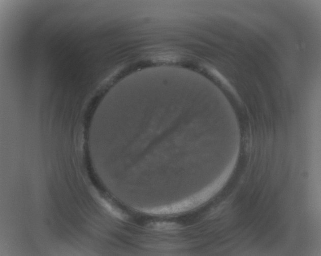 X0000081310637200702082111