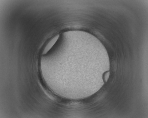 X0000081310638200702082111