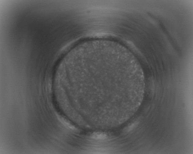 X0000081310640200702082111