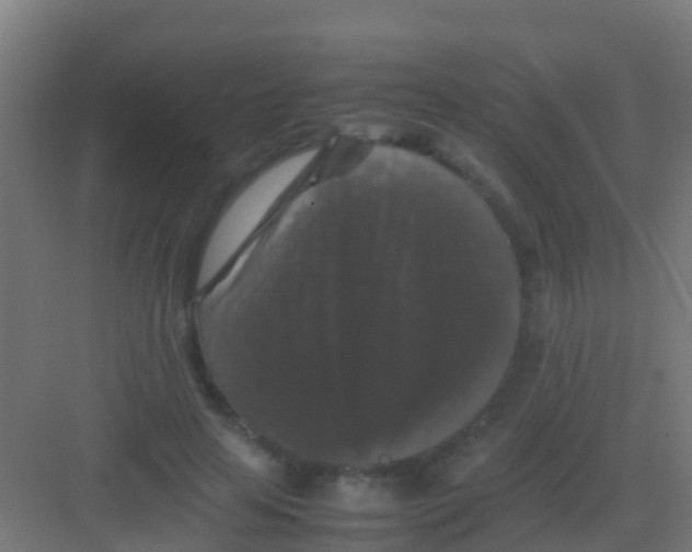 X0000081310641200702082111