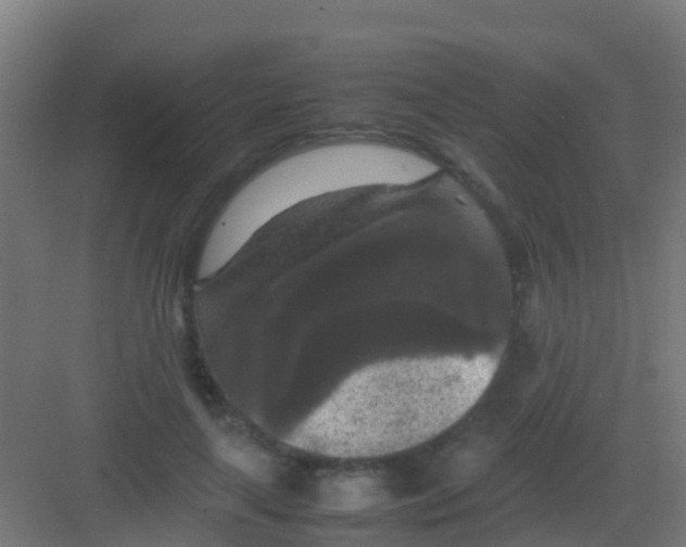 X0000081310643200702082111