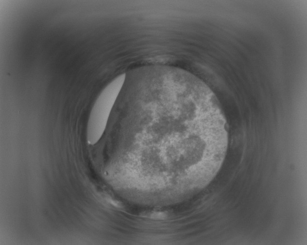 X0000081310647200702082111