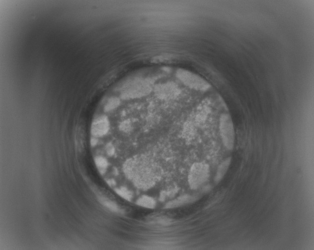 X0000081310648200702082111