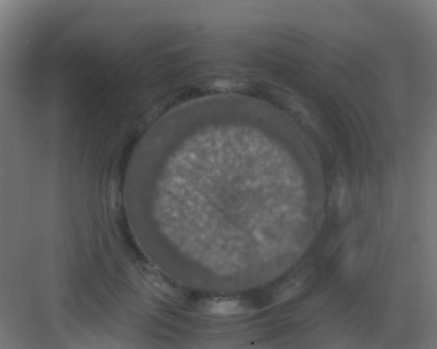 X0000081310651200702082111