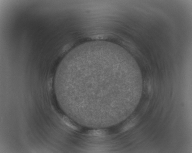 X0000081310652200702082111