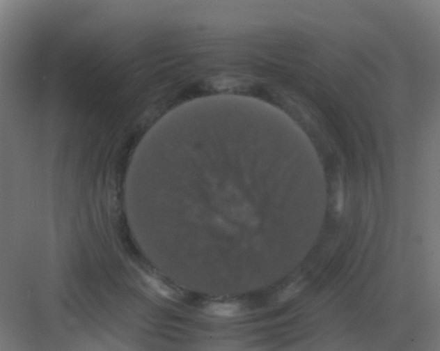 X0000081310653200702082111