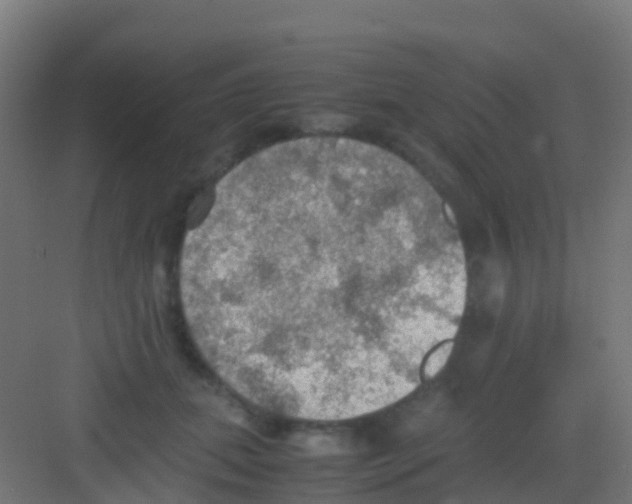 X0000081310655200702082111