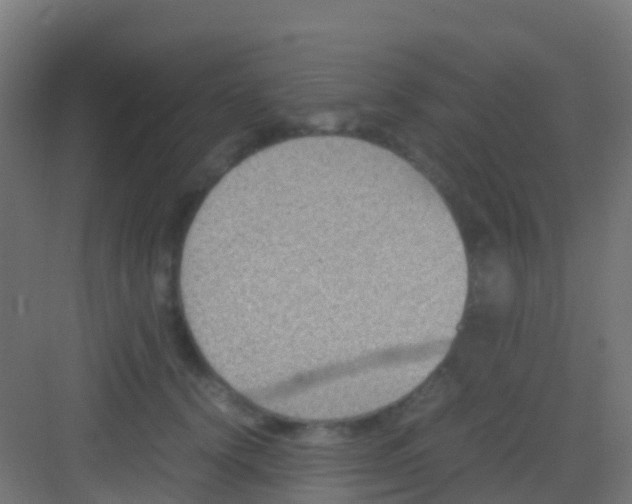 X0000081310656200702082111