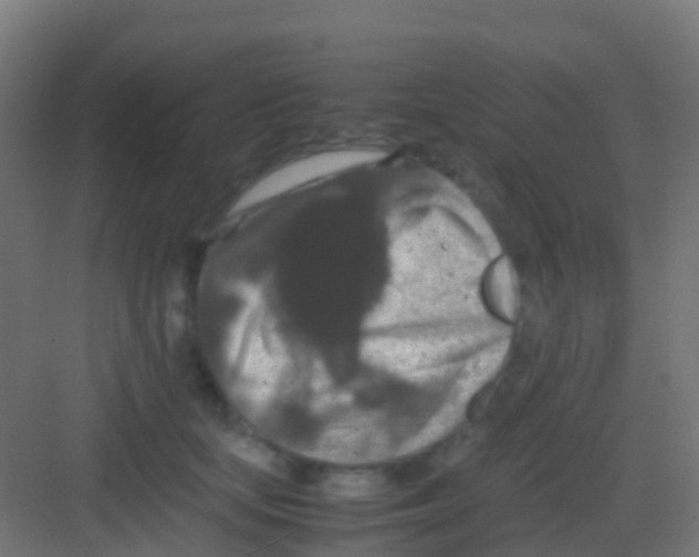 X0000081310659200702082111