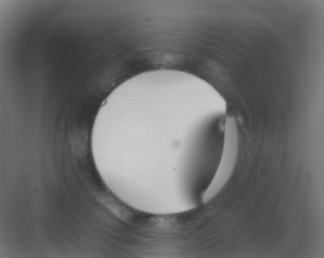 X0000081310660200702082111