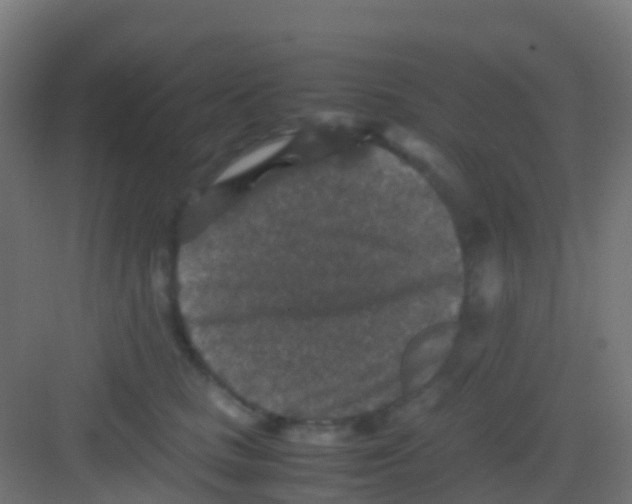 X0000081310661200702082112