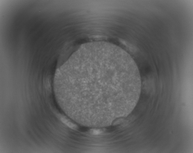 X0000081310662200702082112