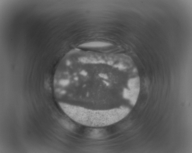 X0000081310663200702082112