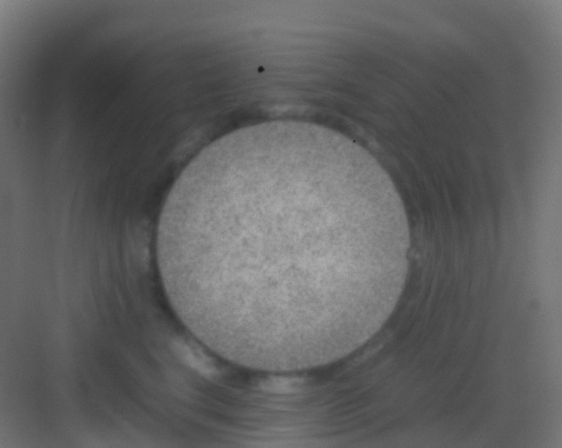 X0000081310664200702082112