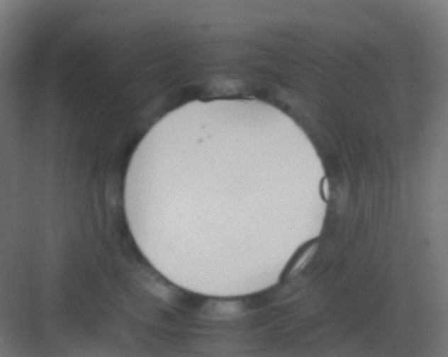 X0000081310665200702082112