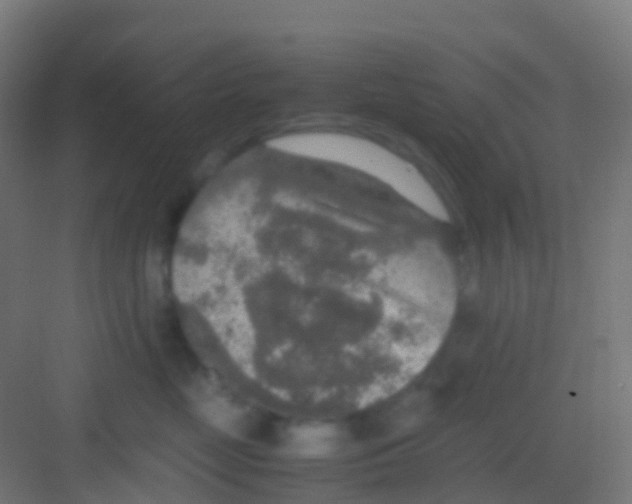 X0000081310669200702082112