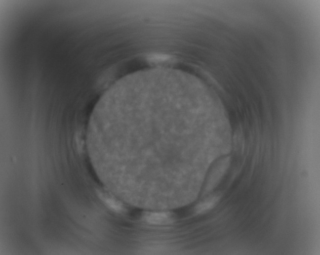 X0000081310671200702082112