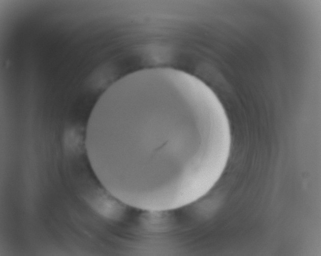 X0000081310672200702082112