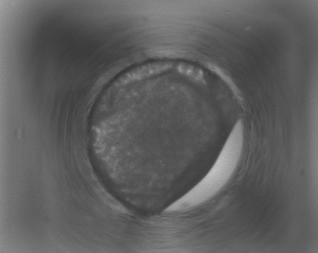 X0000081310673200702082111