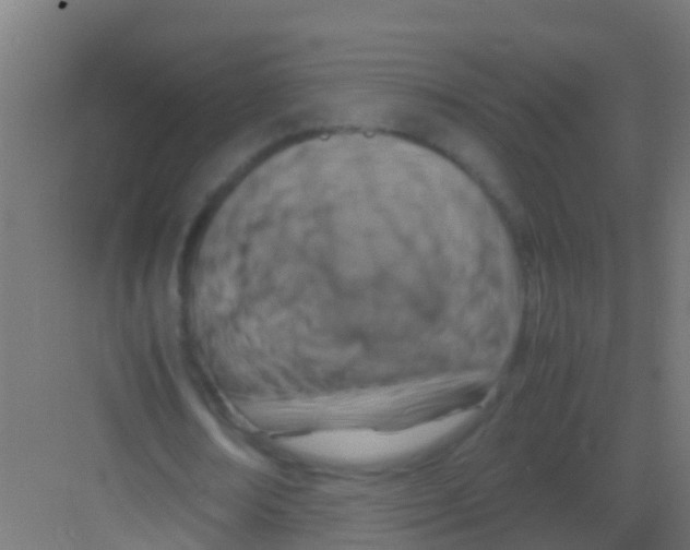 X0000081310674200702082111