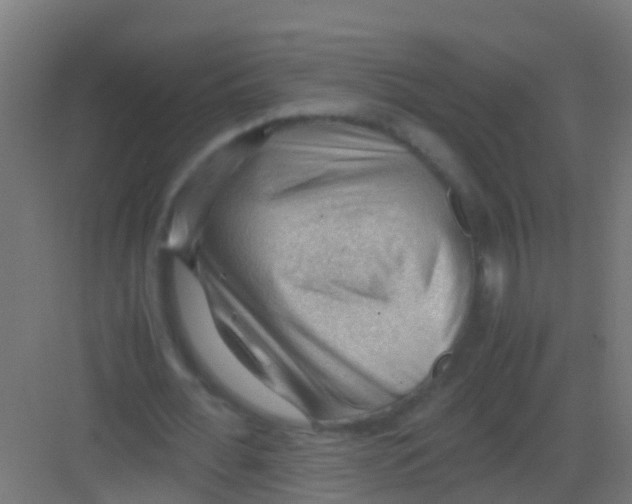 X0000081310676200702082111