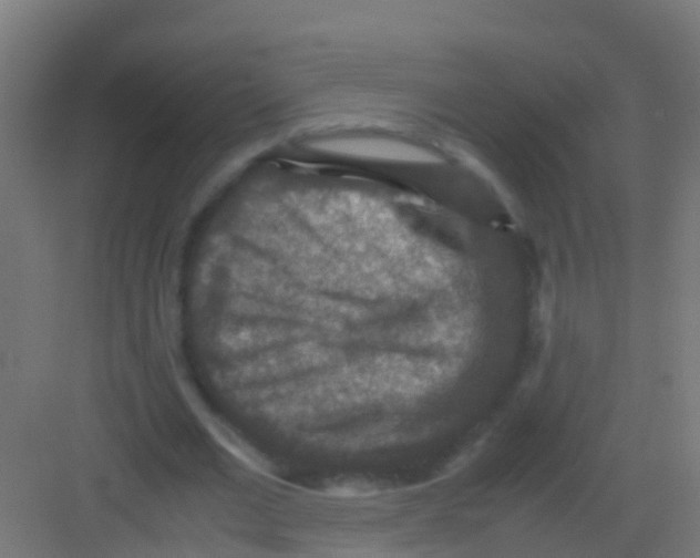 X0000081310677200702082111